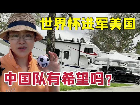 帕尔默力挽,狂澜,核心球员重,开云网站,网站设计,SEO优化,网络营销,网站开发,开云平台,网站流量,搜索引擎优化,数字营销,开云科技