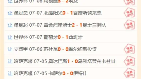 开云网站，网络营销， 104022 9
