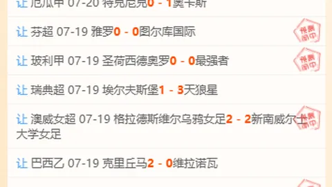 开云网站，SEO优化， 105004 0